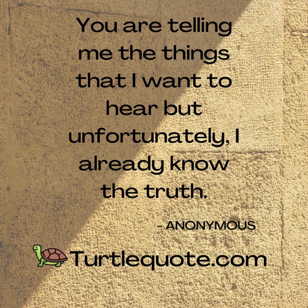 You are telling me the things that I want to hear but unfortunately, I already know the truth.