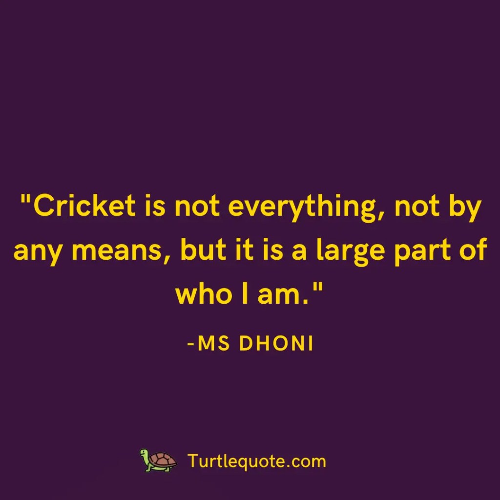 Cricket is not everything, not by any means, but it is a large part of who I am.