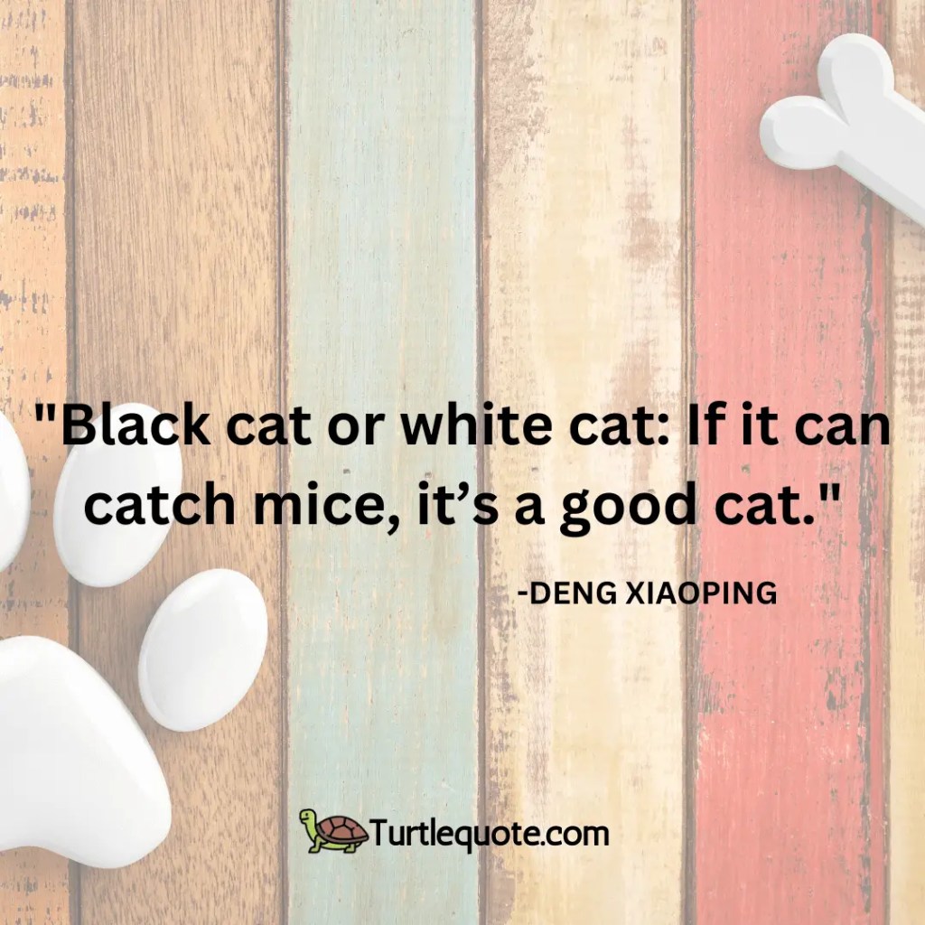 Black cat or white cat: If it can catch mice, it’s a good cat.