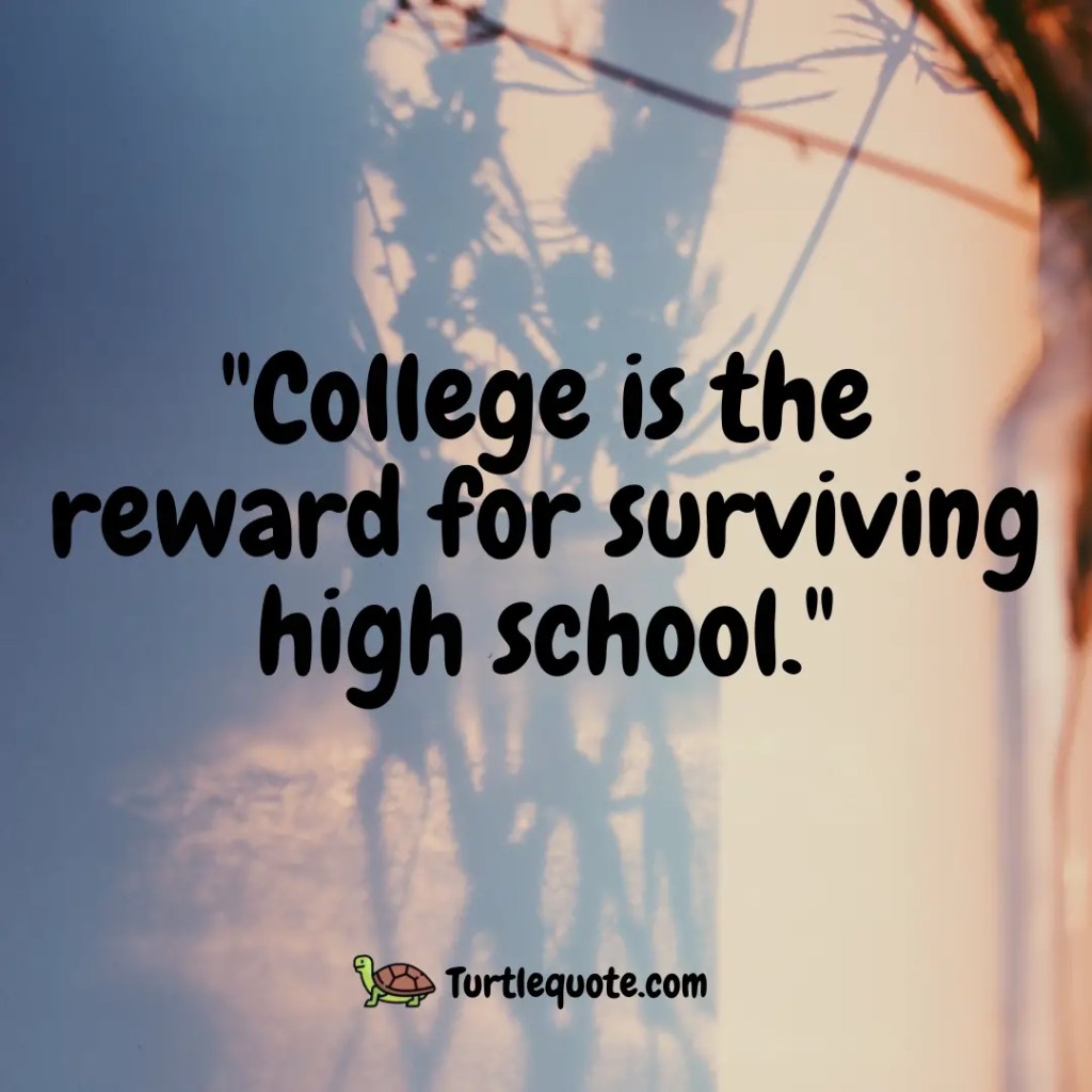 College is the reward for surviving high school."