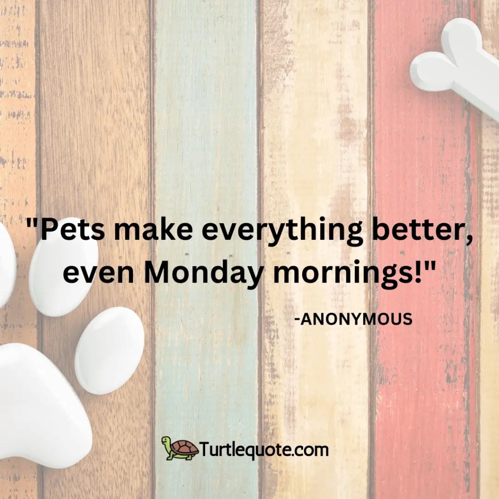Pets make everything better, even Monday mornings!