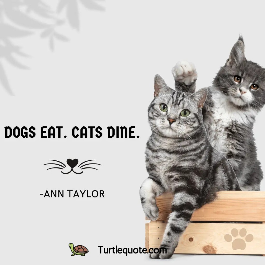 Dogs eat. Cats dine.