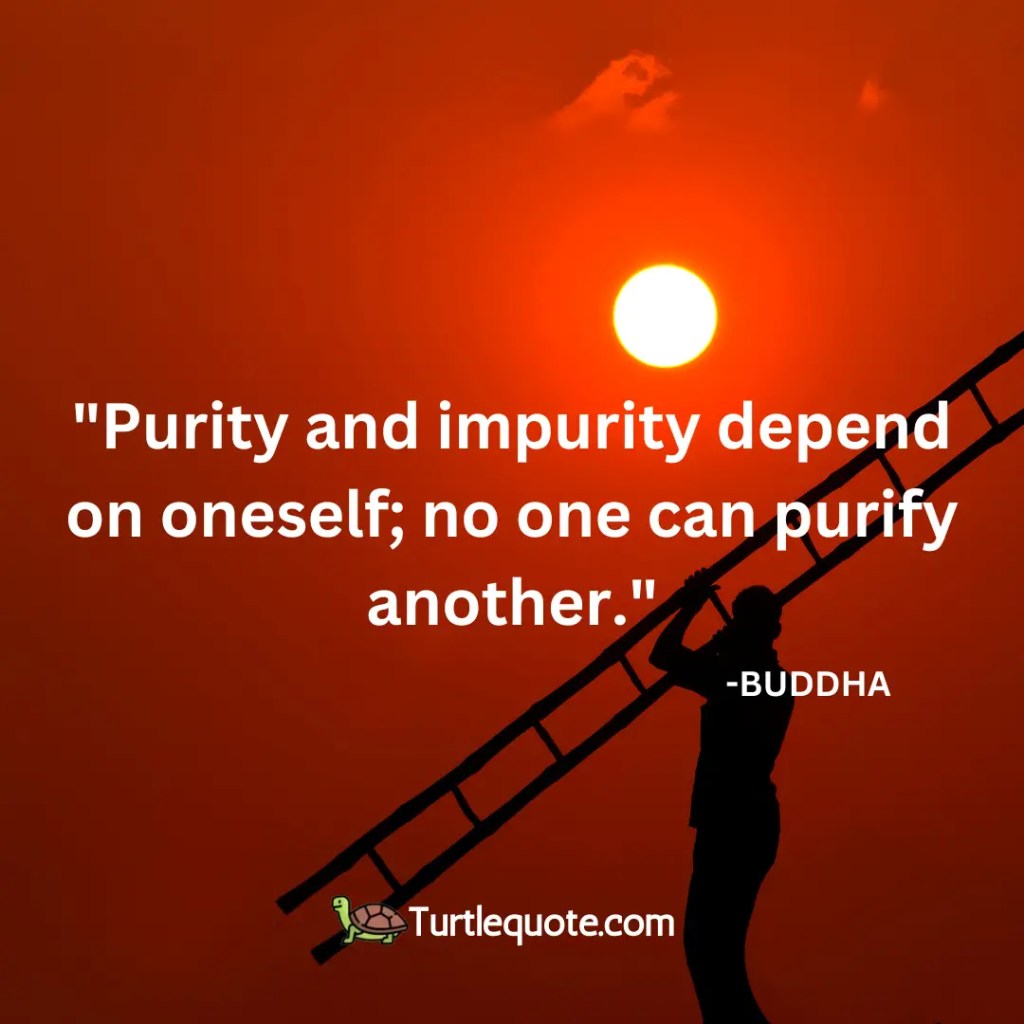 Purity and impurity depend on oneself; no one can purify another.