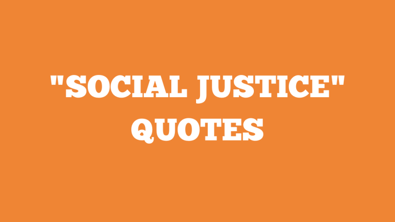 45 Social Justice Quotes to Motivate Your Contemplation of Injustice