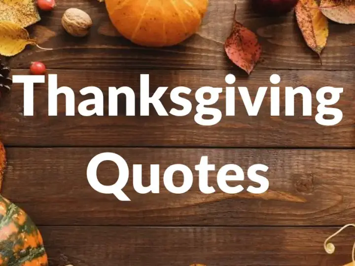 49 Thanksgiving Quotes To Appreciate Your Friends