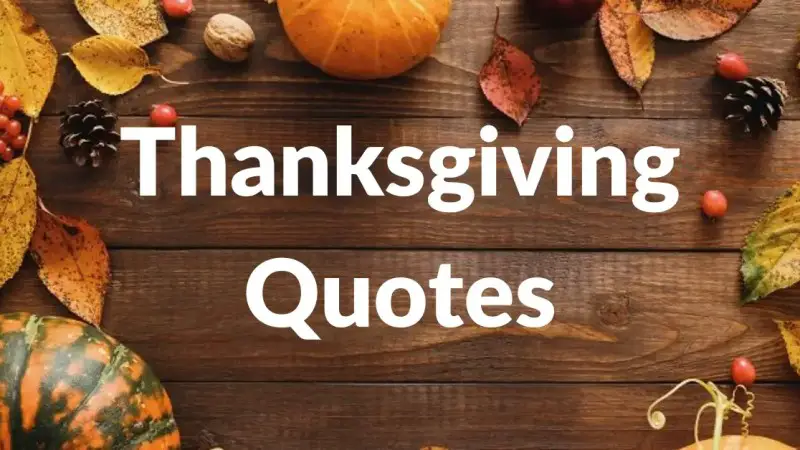49 Thanksgiving Quotes To Appreciate Your Friends