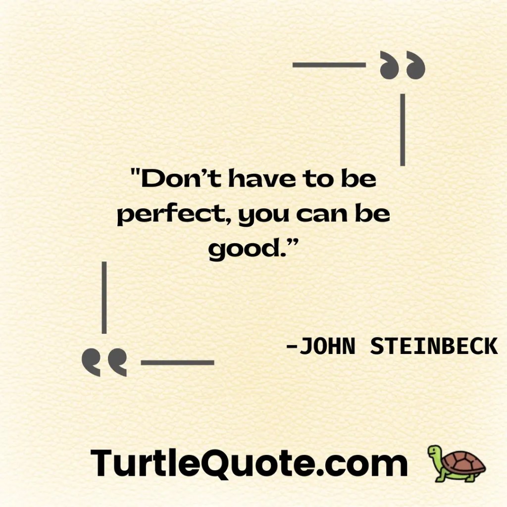 Don’t have to be perfect, you can be good.