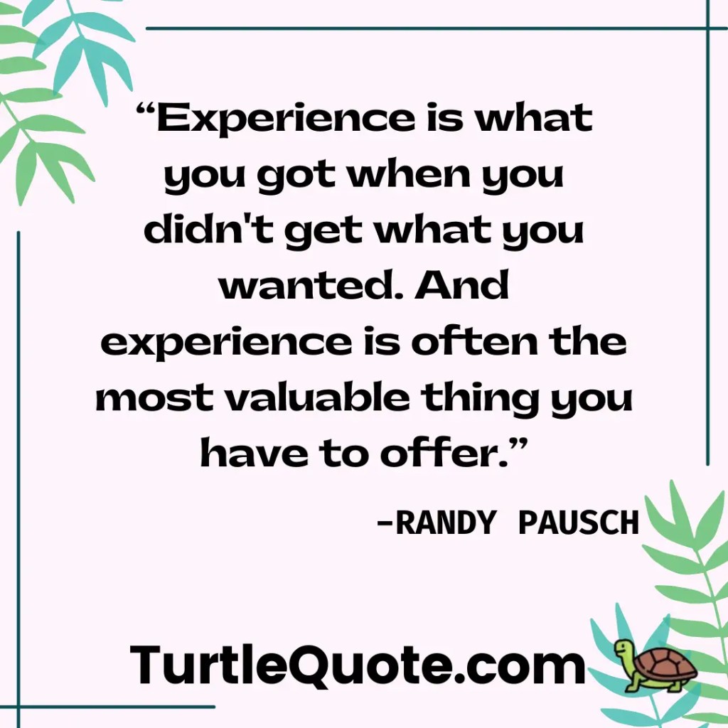 Experience is what you get when you didn't get what you wanted. And experience is often the most valuable thing you have to offer.