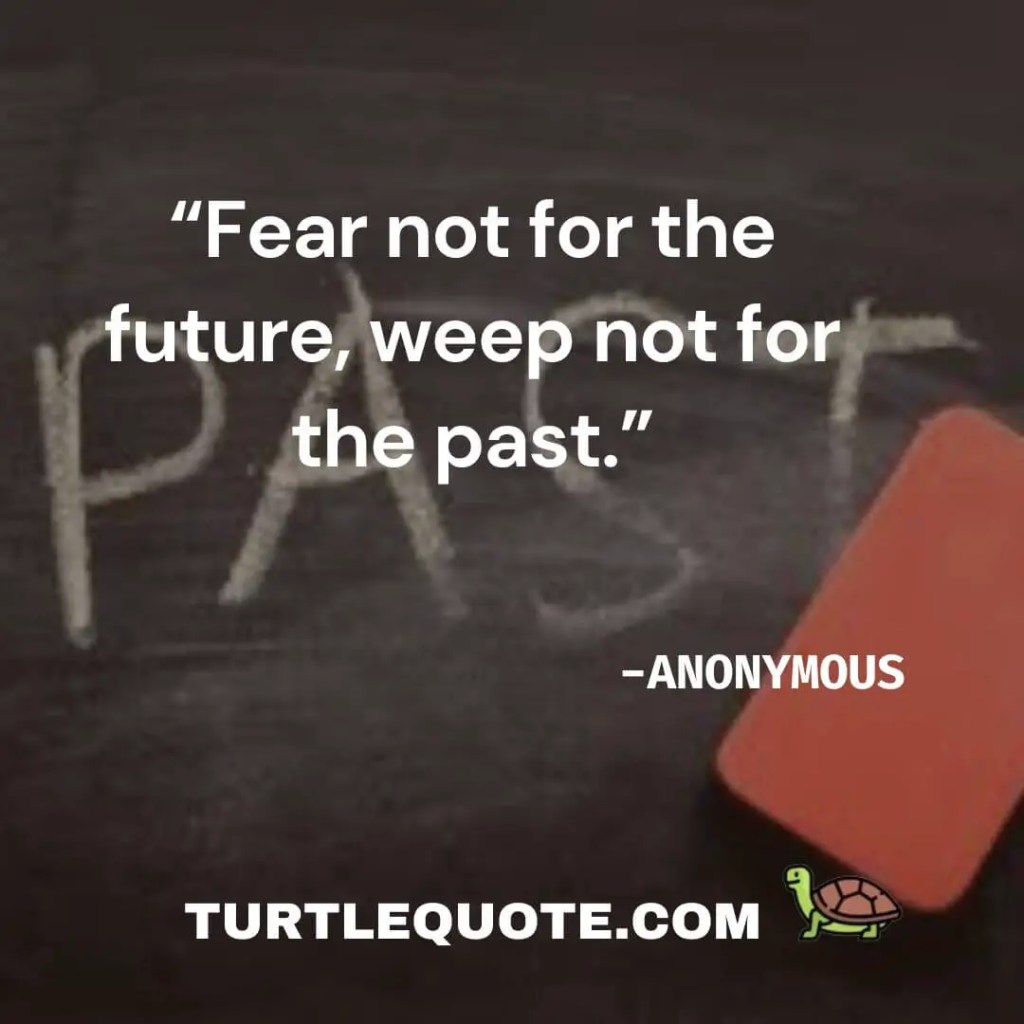 “Fear not for the future, weep not for the past.”