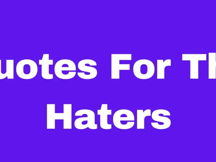 60+ Quotes That Will Inspire You To Rise Above Haters