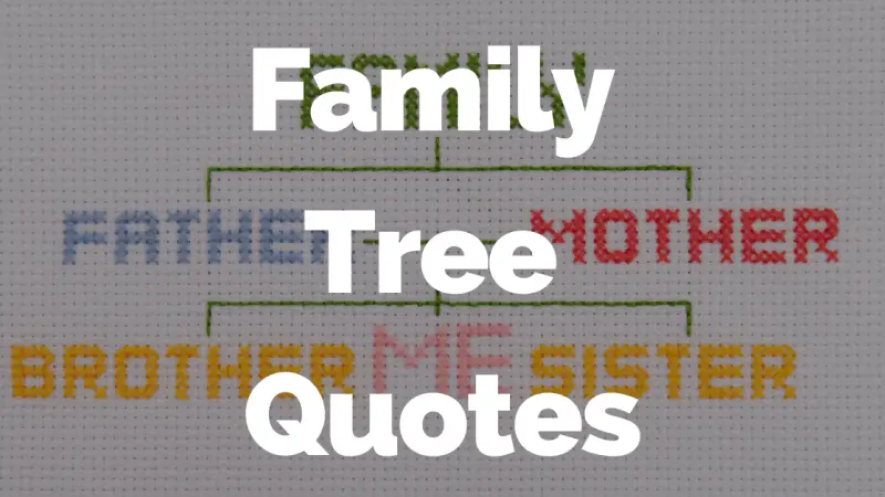 40 Heartwarming Family Tree Quotes to Celebrate Your Roots
