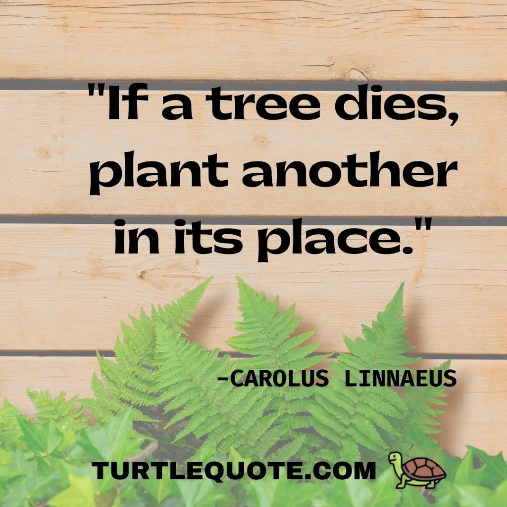If a tree dies, plant another in its place.