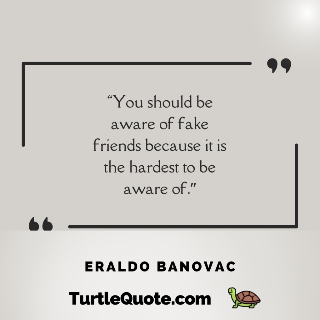 "You should be aware of  fake friends because it is the hardest to be aware of"