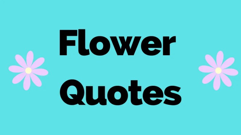 50 Best Instagram Flower Quotes to Pair With Photos of Flowers