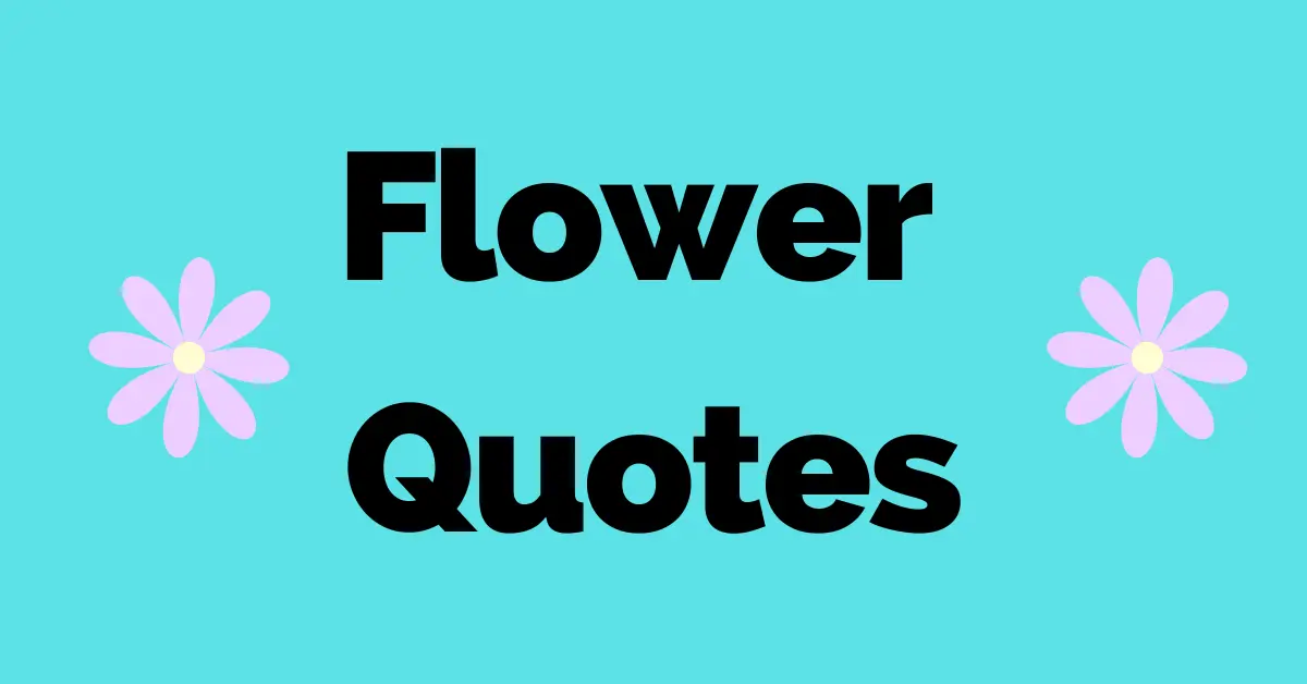 50 Best Instagram Flower Quotes to Pair With Photos of Flowers
