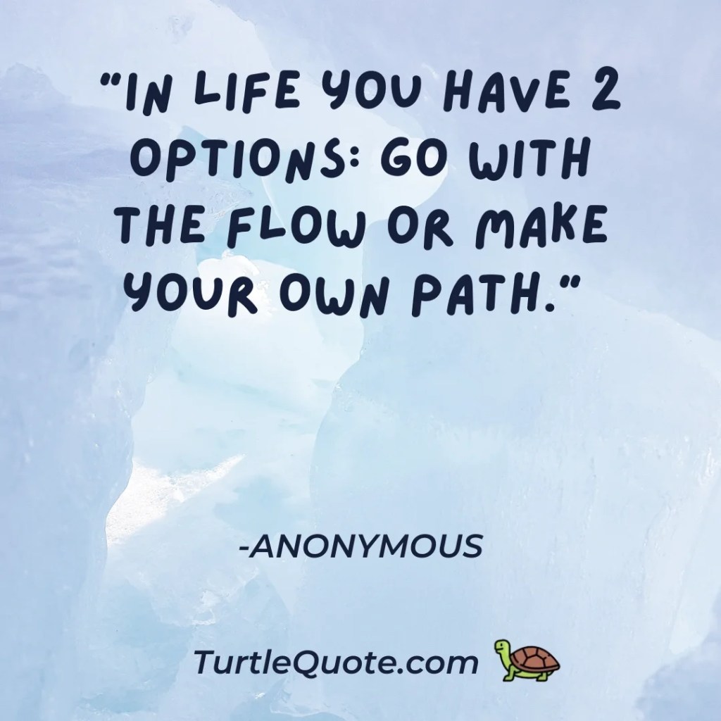 “In life you have 2 options: go with the flow or make your own path.” 