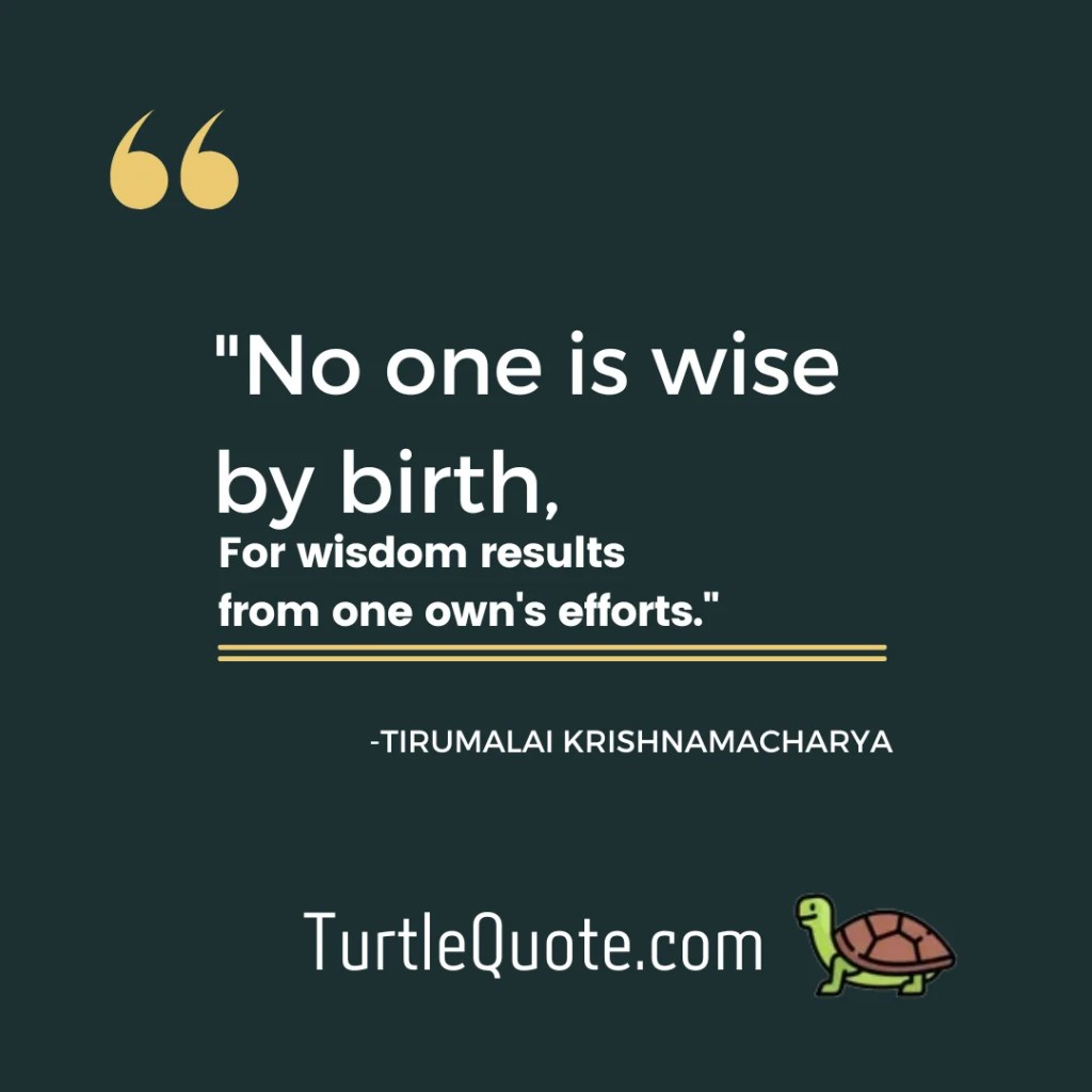 "No one is wise by birth, for wisdom results from one own's efforts."