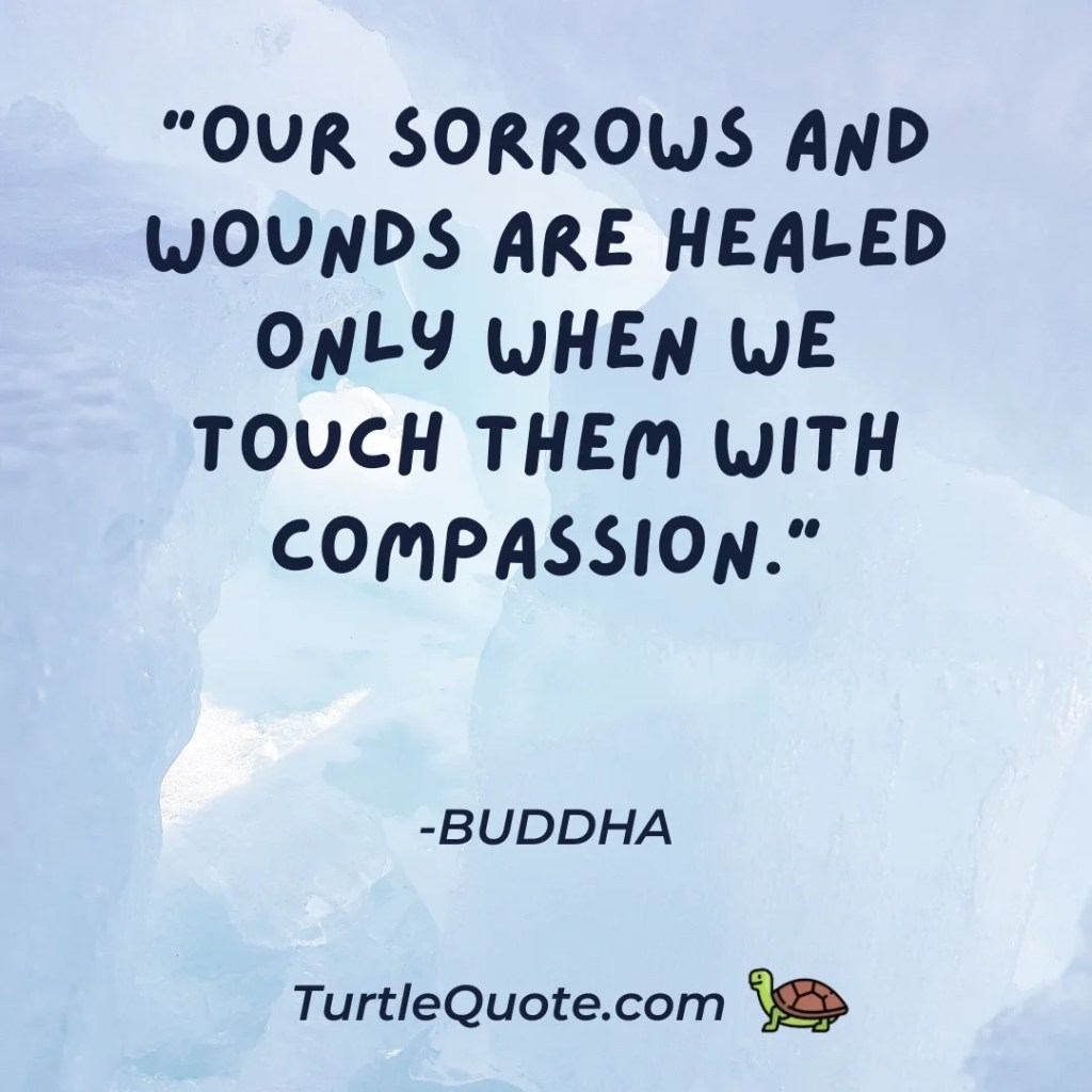 “Our sorrows and wounds are healed only when we touch them with compassion.”