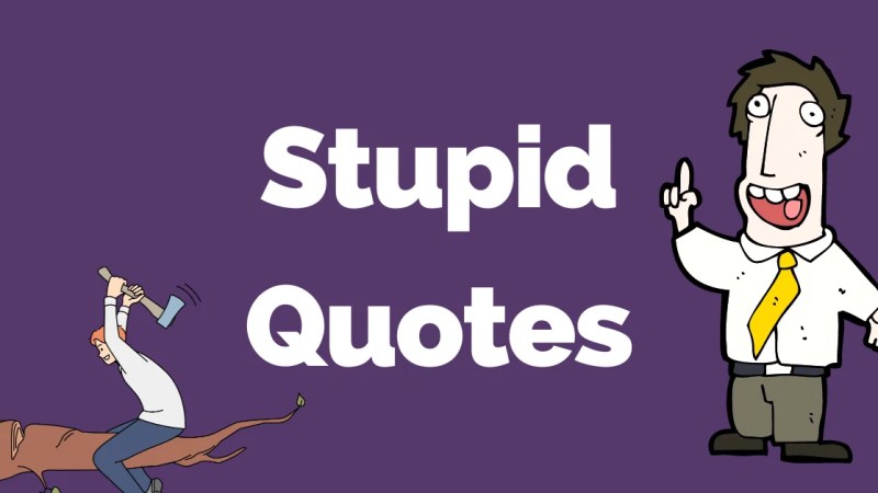 67 Silly & Witty Stupid Quotes That Makes No Sense