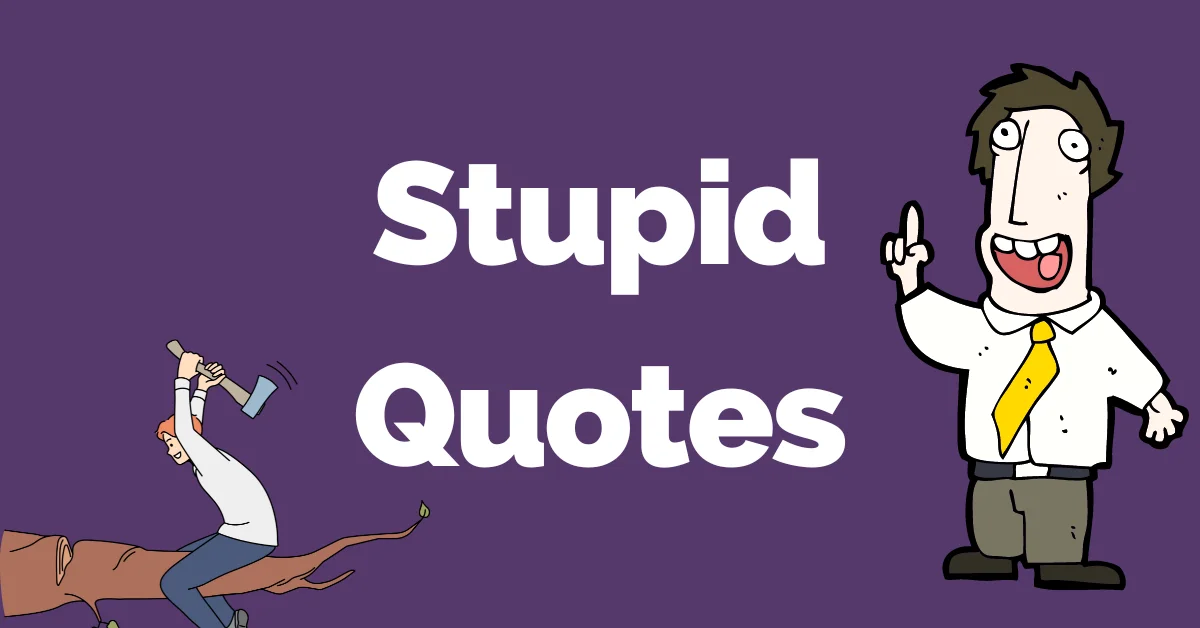 67 Silly & Witty Stupid Quotes That Makes No Sense