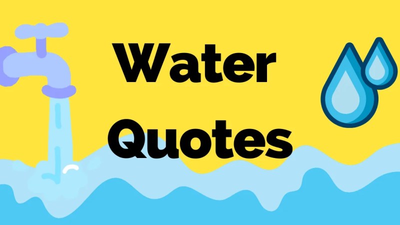 Inspiring 75 Quotes About Water Conservation